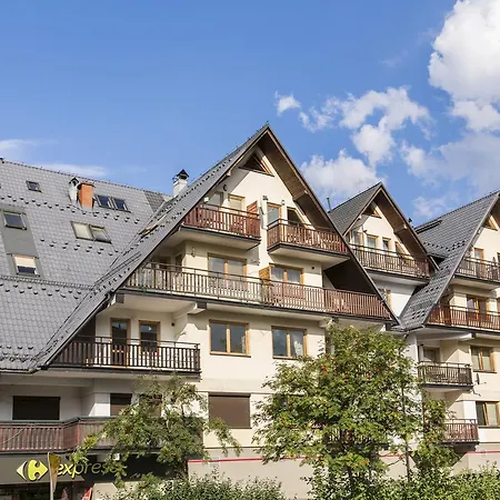 公寓 Udanypobyt Apartament Orkana 扎科帕内